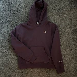 Champions Purple hoodie